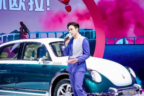 上海车展国产大佬视频大全,上海车展大佬视频大盘点